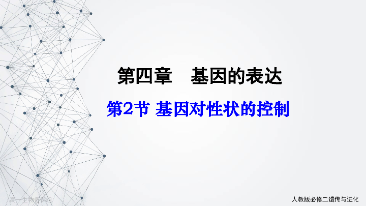 高中生物人教版必修二4.2基因对性状的控制24ppt