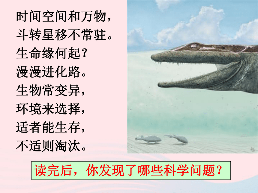 六年级科学下册一生物的进化1生命的历程课件(28张ppt）湘教版