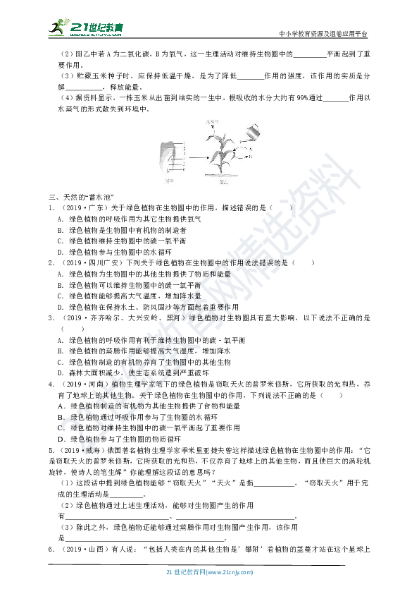 第五节 绿色植物在生物圈中的作用  真题分类试卷（含答案）