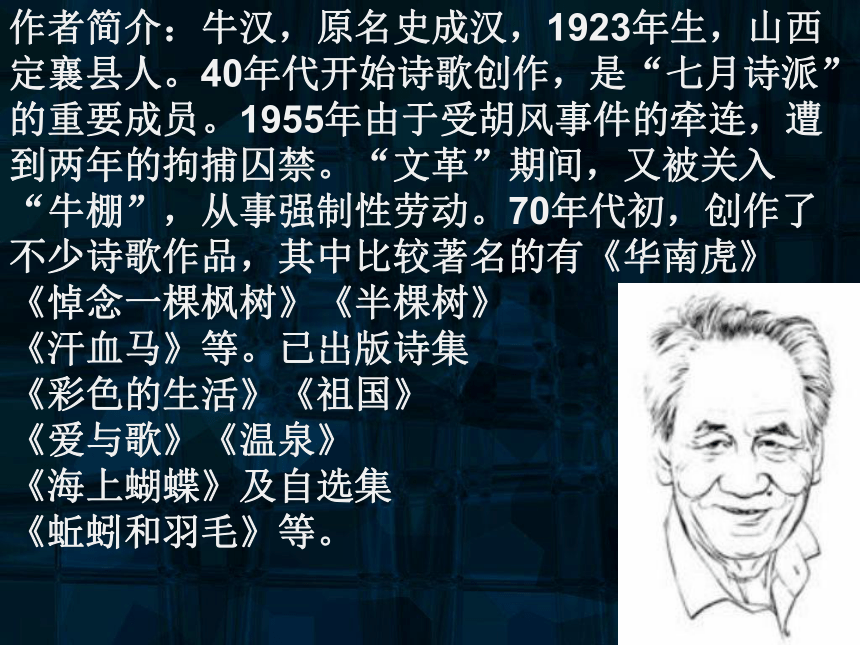 汗血马 课件