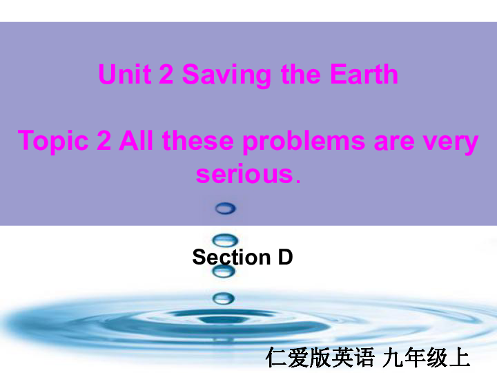 Unit 2 Saving the earth.Topic 2  All these problems are very serious Section D 课件14张PPT
