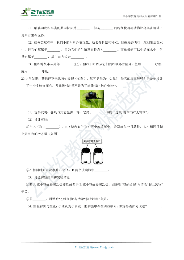 浙教版科学 七年级上 第二章 第4节 常见的动物 同步练习（含解析）