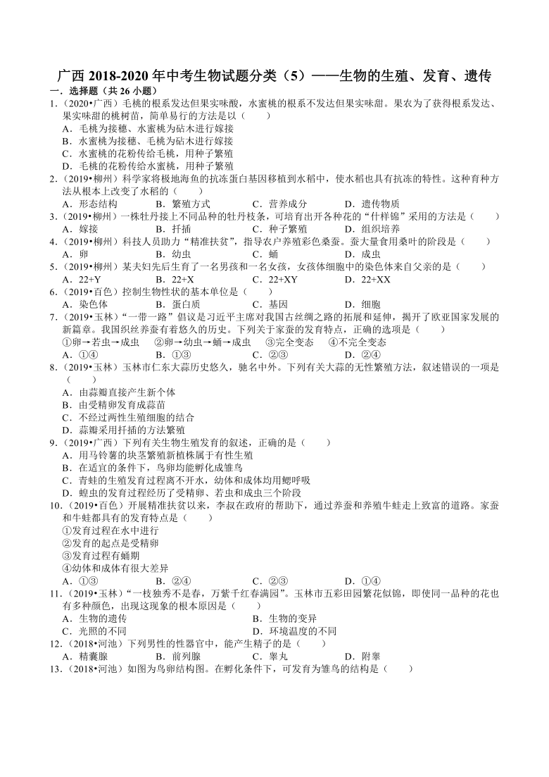 广西2018-2020年近三年中考生物试题分类（5）——生物的生殖、发育、遗传(含解析)