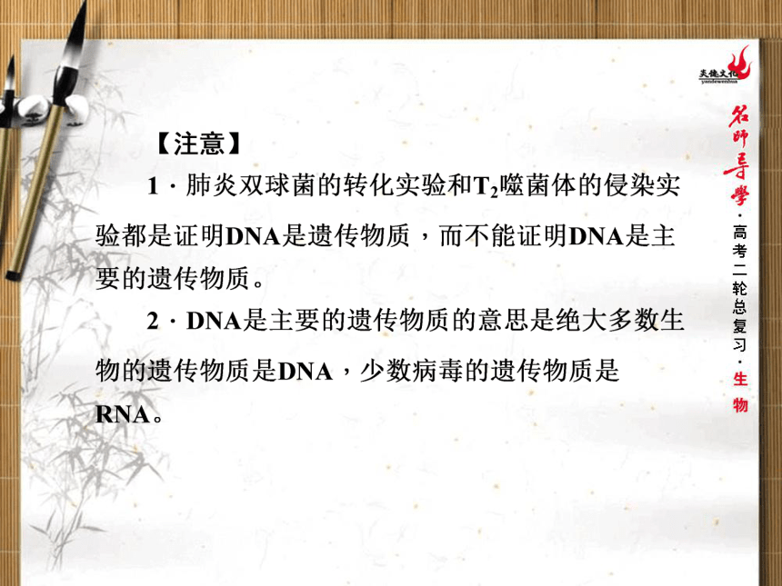 名师导学2017年高三生物二轮专题复习专题四遗传的分子基础（76张）