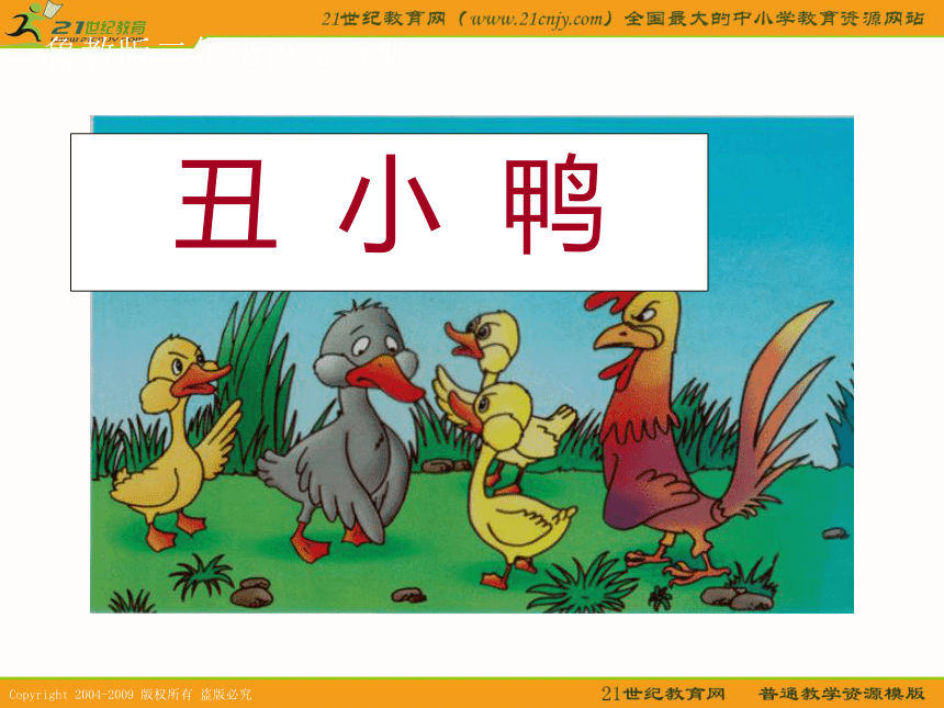 二年级语文下册课件 丑小鸭 3（鲁教版）