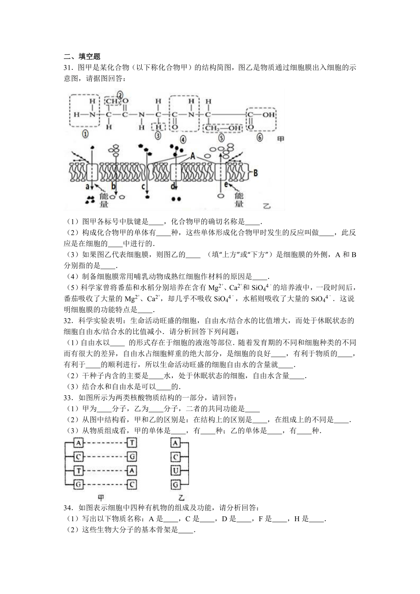 湖北省襄阳市枣阳七中2016-2017学年高一（上）月考生物试卷（10月份）（解析版）