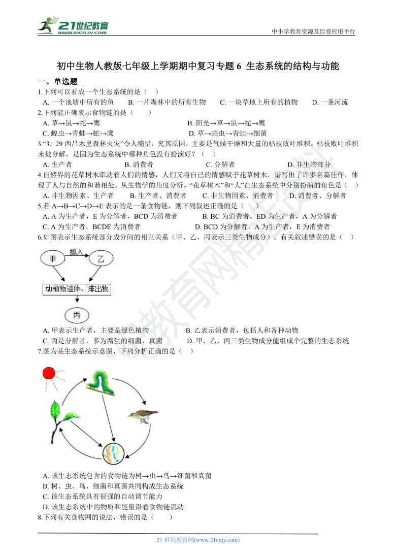 初中生物人教版七年级上学期期中复习专题6 生态系统的结构与功能（含解析）