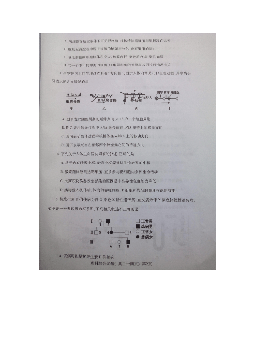 陕西省咸阳市2016届高三高考模拟（三）理科综合试题（图片版，含答案）