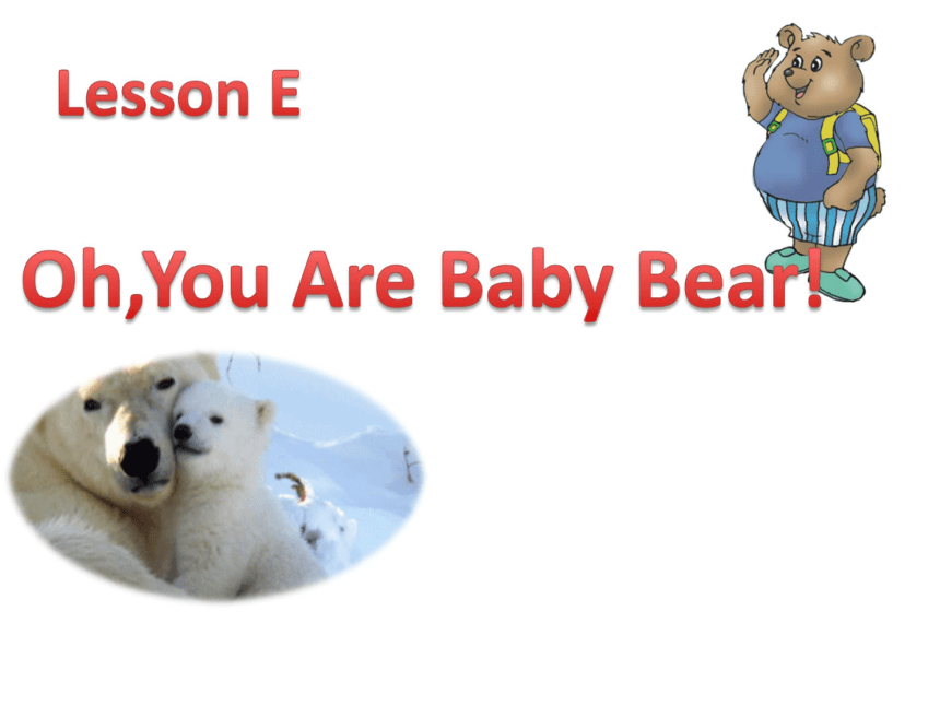 Lesson E Oh,You’re Baby Bear! 课件