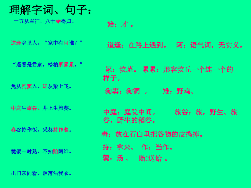 初中语文长春版七年级下（2016）二古诗二首  从军征课件（30张ppt）