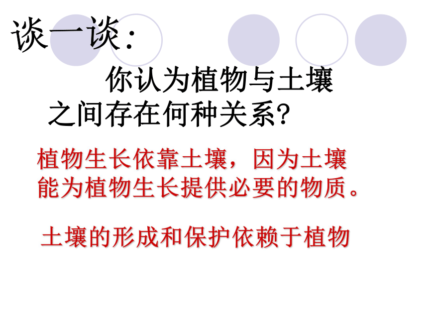 科学四年级下青岛版3.9土壤与植物课件（40张）