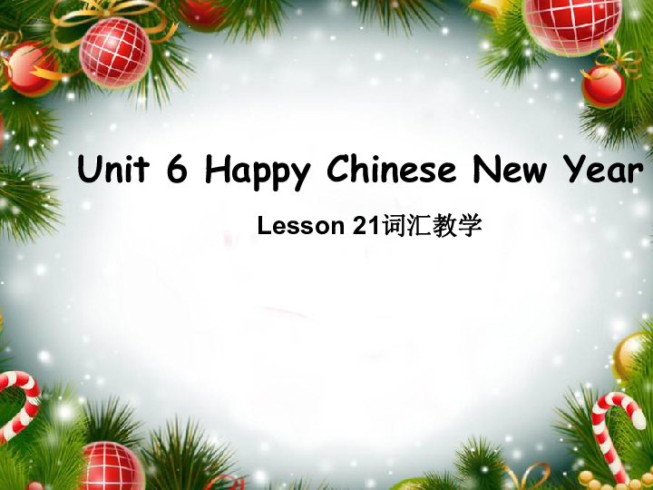 Unit6 Happy Chinese New Year  Lesson21 (共21张PPT)