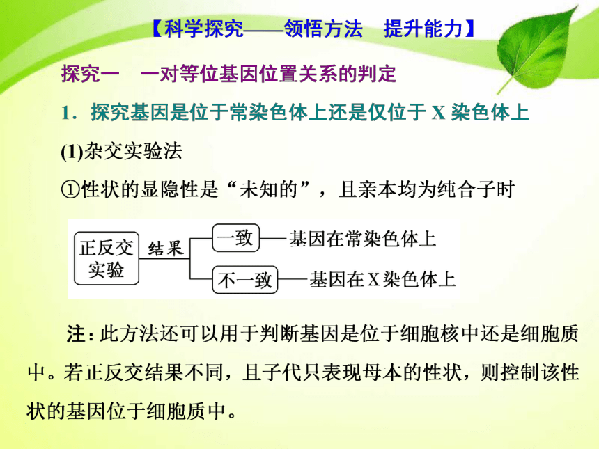 高三一轮复习：遗传的基本规律与伴性遗传 第4讲 基因定位的遗传实验设计与分析（共23张PPT）