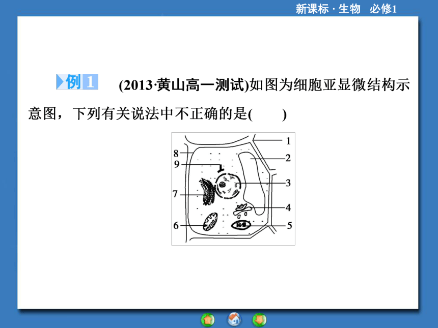 【课堂新坐标，同步备课参考】2013-2014学年高中生物（人教版）必修1课件：专题归纳课2细胞膜、细胞器和细胞核（共29张PPT）