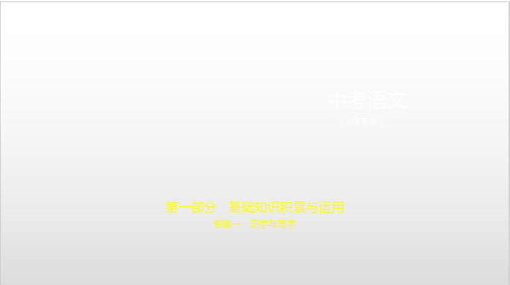 2020届山东中考语文复习课件 专题一　识字与写字:92张PPT