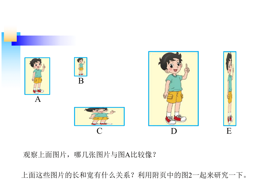 北师大版小学六年级数学上《生活中的比》课件 (共18张PPT)