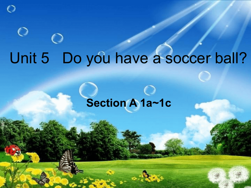 人教版初中英语七上Unit 5 Do you have a soccer ball？ Section A 1a~1c课件（18张）