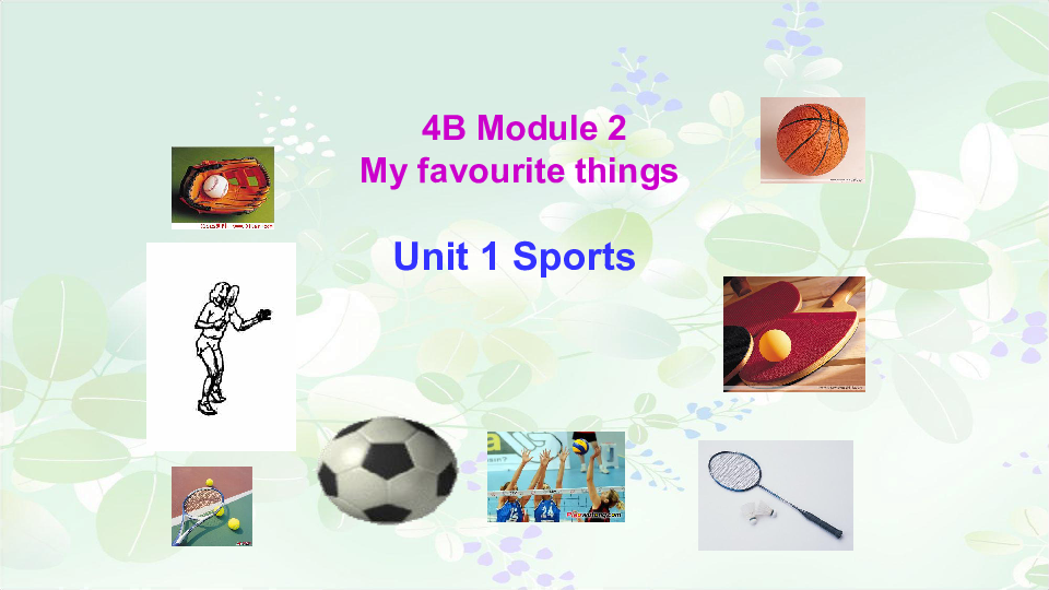 Module 2 Unit 1 Sports 课件（22张PPT）