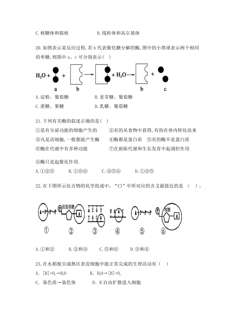 陕西省黄陵中学2021届高三（本部）上学期期中考试生物试题