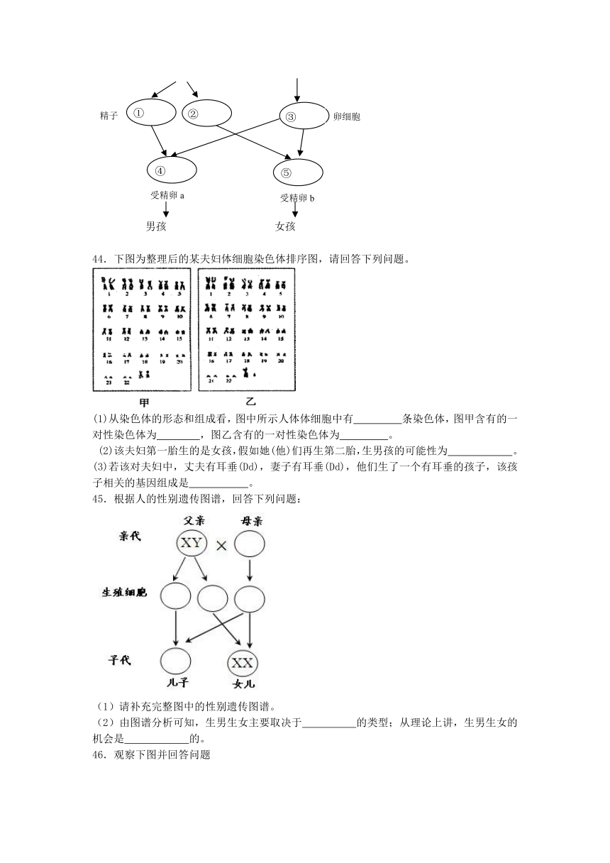 2013-2014学年度生物中考二轮复习专题卷--人的性别遗传