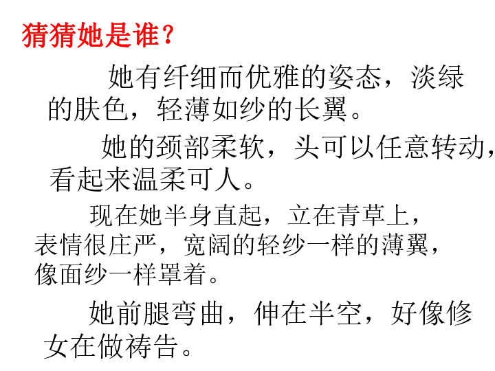 课件预览