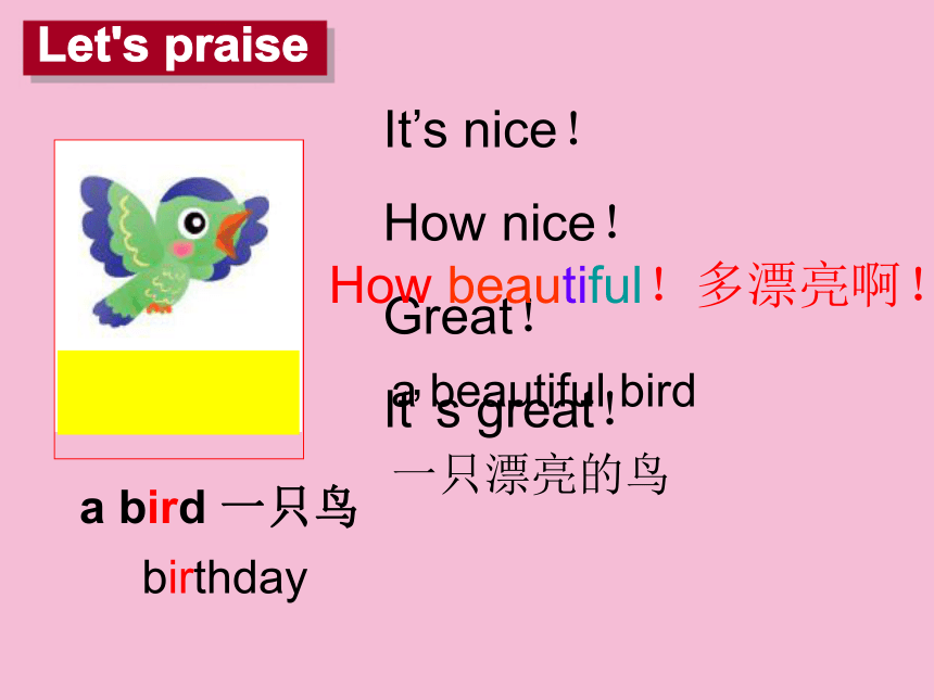 thelittlebird图片