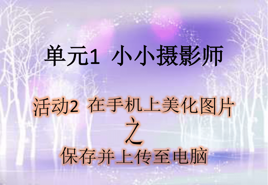 第一单元活动2 在手机上美化图片（第二课时）