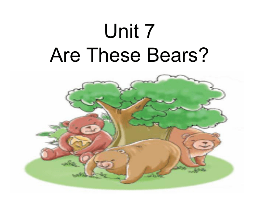 Unit7 Are these bears？（第3课时） 课件（18张PPT）