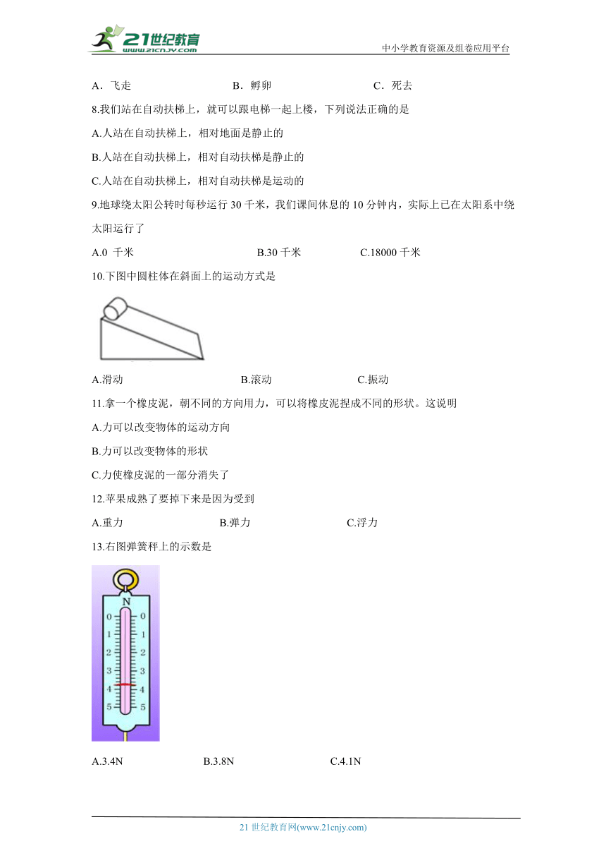 课件预览