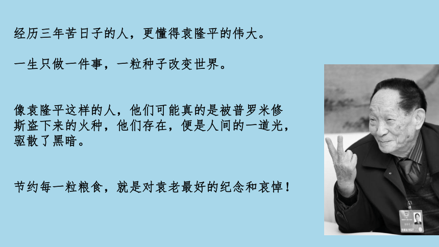 2021届高考语文 最是风流袁隆平 课件（59张PPT）