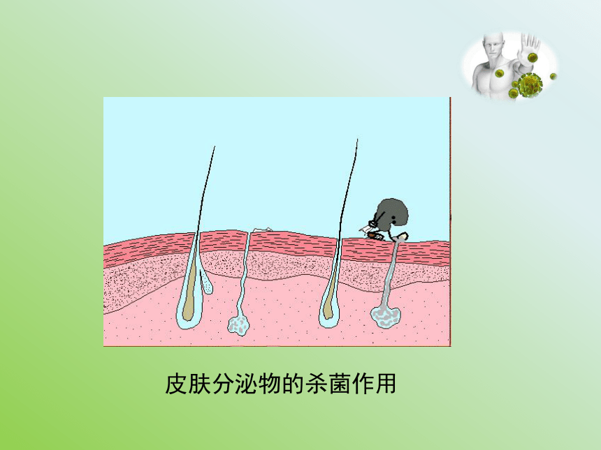 苏教版八年级下册生物 25.3免疫 课件（25张PPT）