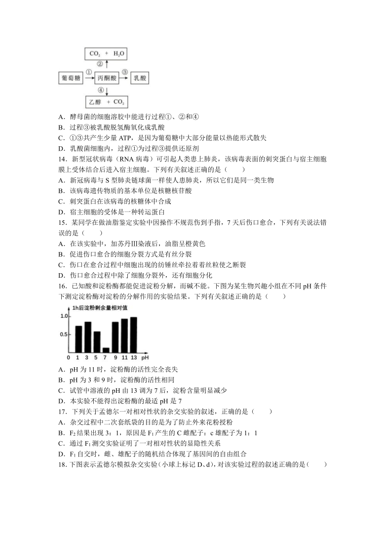 浙江省“精诚联盟”2021-2022学年高二上学期返校考试生物试题（Word版含答案）