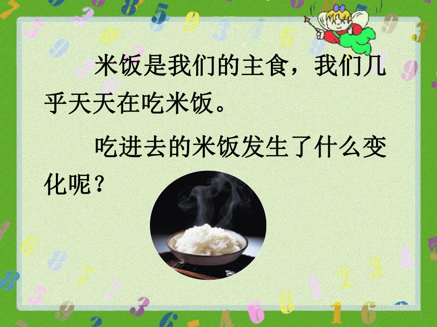 4米饭、淀粉和碘酒的变化 课件