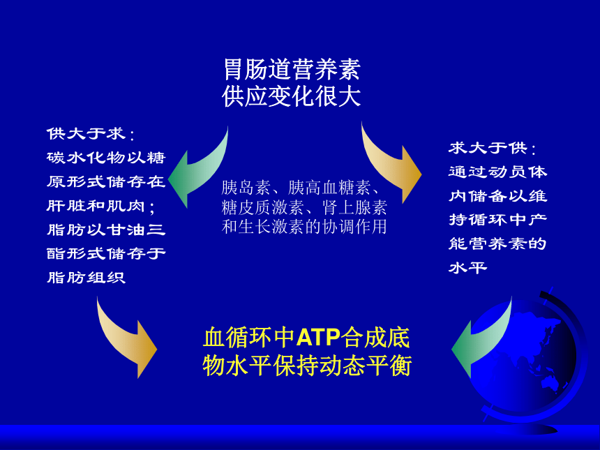 第10章 健康的身体  平衡与健康  人体内能量的平衡与调节