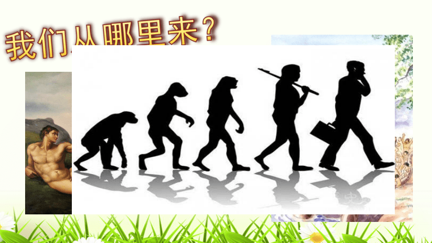 人教版七上第1课 中国早期人类的代表——北京人 课件（24张）