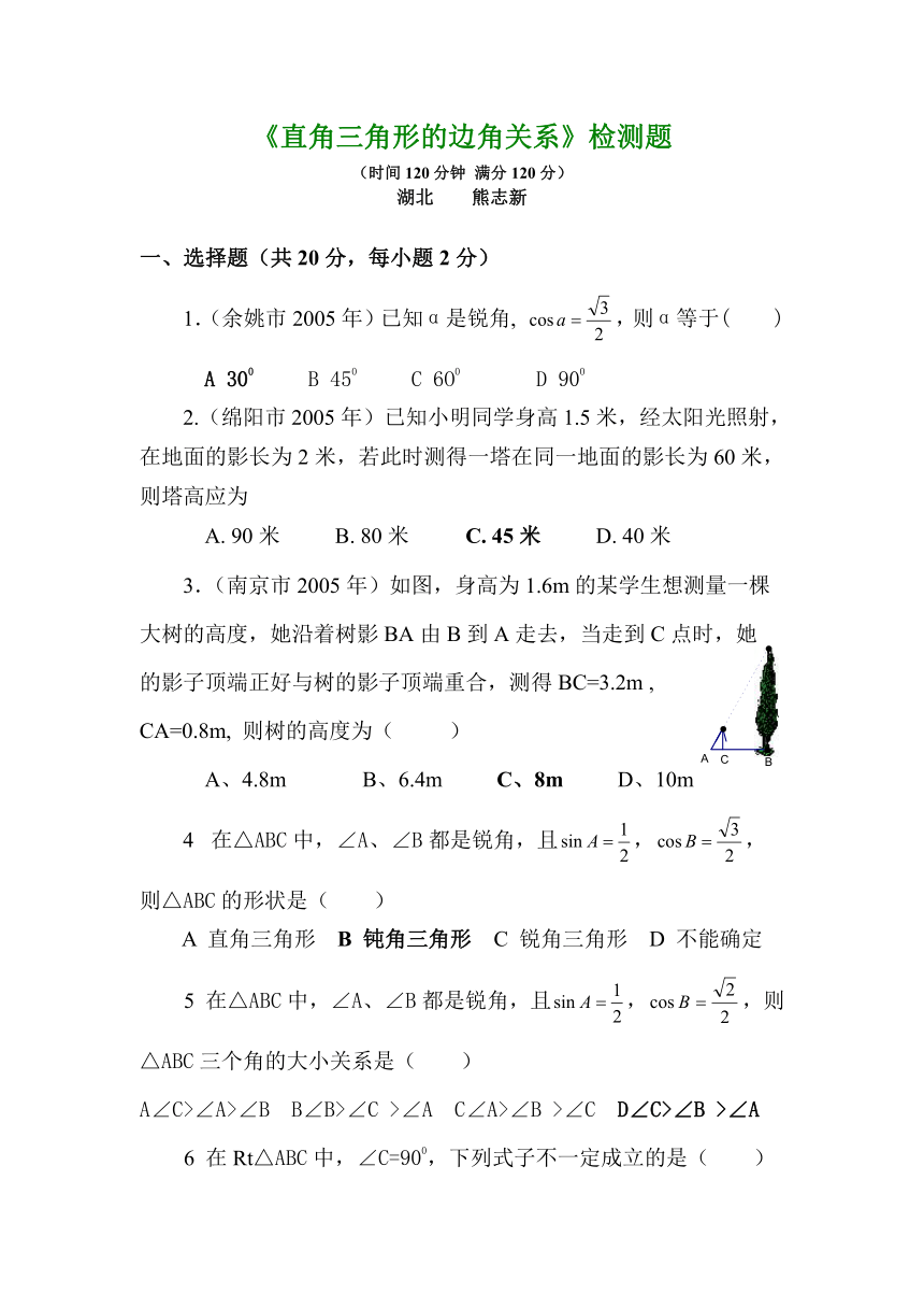 《直角三角形的边角关系》检测题（2）.doc[上学期]