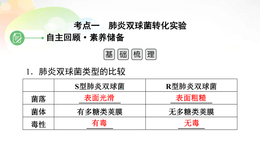 必修2 第2单元 第1讲 DNA是主要的遗传物质（共79张PPT）