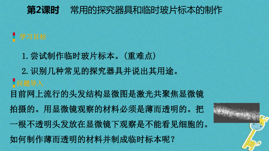 探索生命的器具第2课时常用的探究器具和临时玻片标本的制作课件(19张PPT）