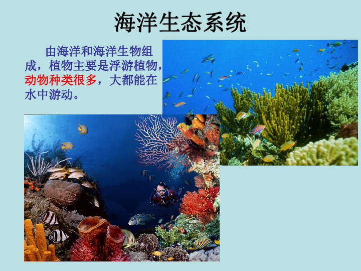 苏教版八上生物 20.1 生物圈中的各种生态系统 课件（20张PPT）