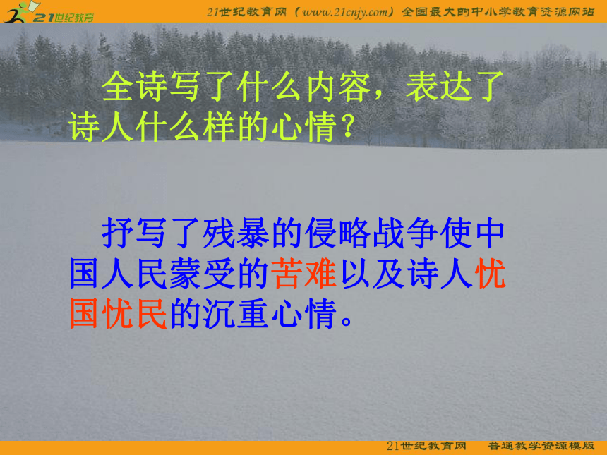 《雪落在中国的土地上》课件