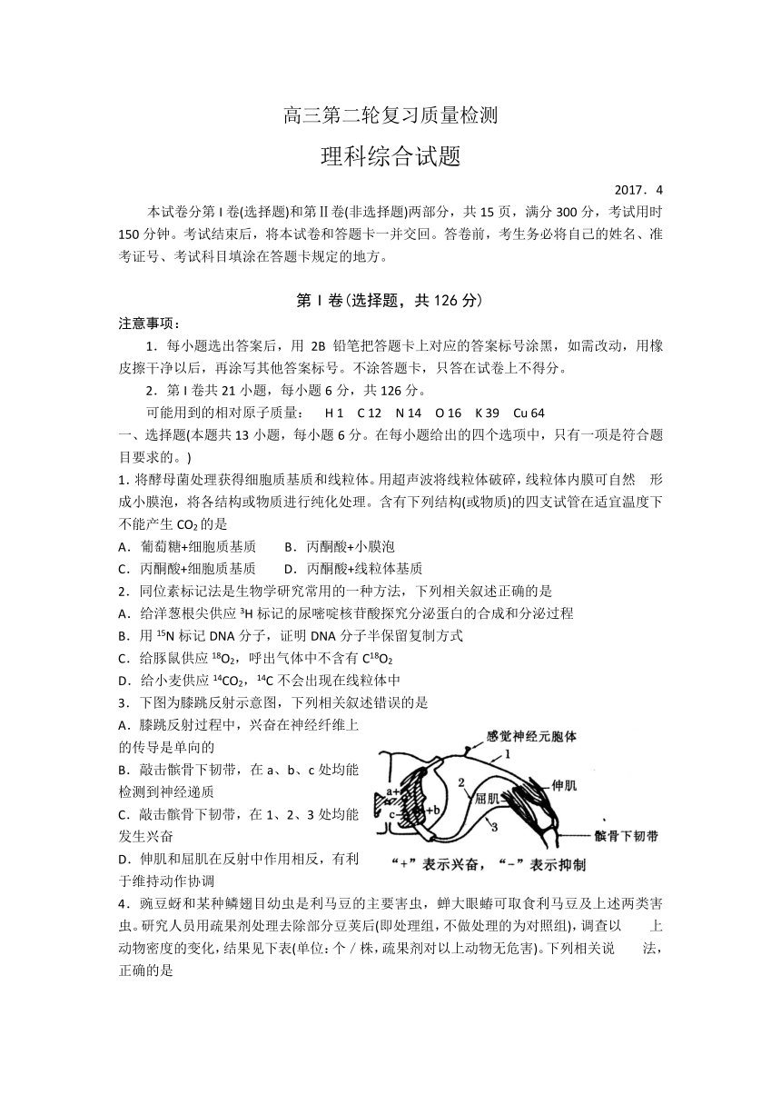 山东省泰安市2017届高三第二轮复习质量检测（二模）理科综合试题 Word版含答案