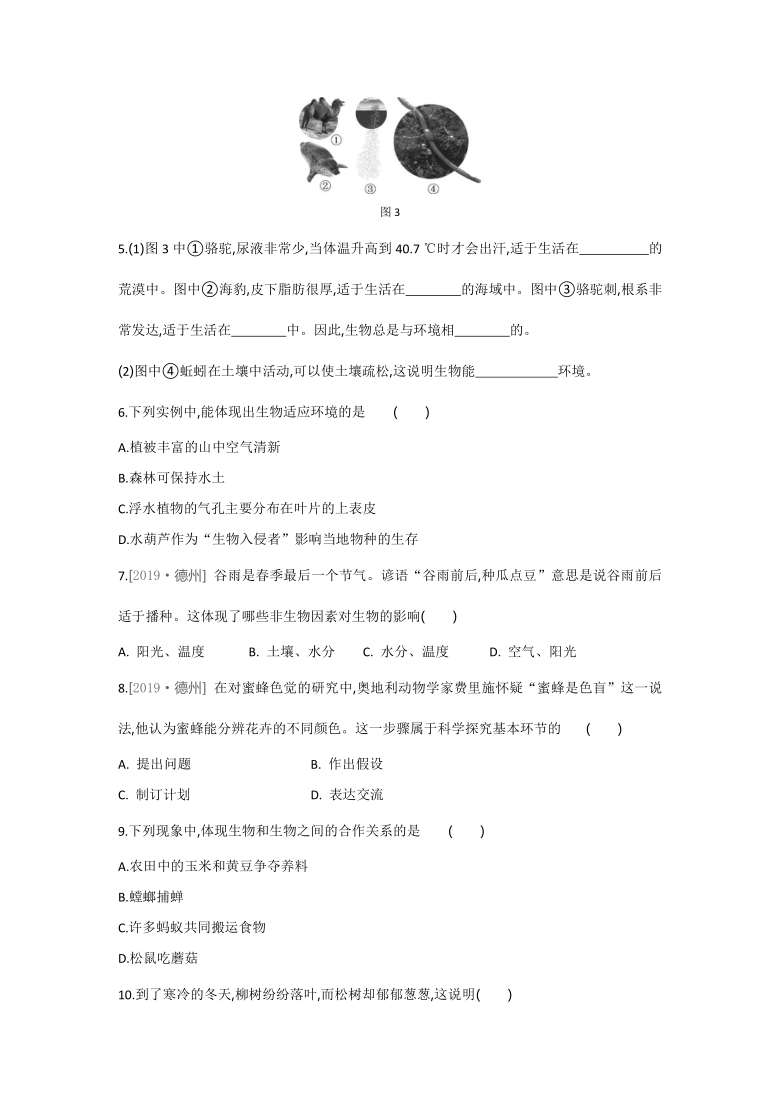 2021-2022学年人教版生物七年级上册1.2.1生物与环境的关系---同步练习（word版 含解析）