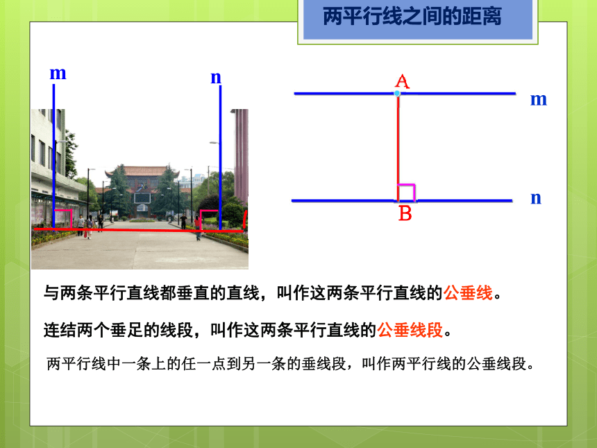 临澧县丁玲学校湘教版七年级数学下册4.6两平行线之间的距离课件（共18张PPT）
