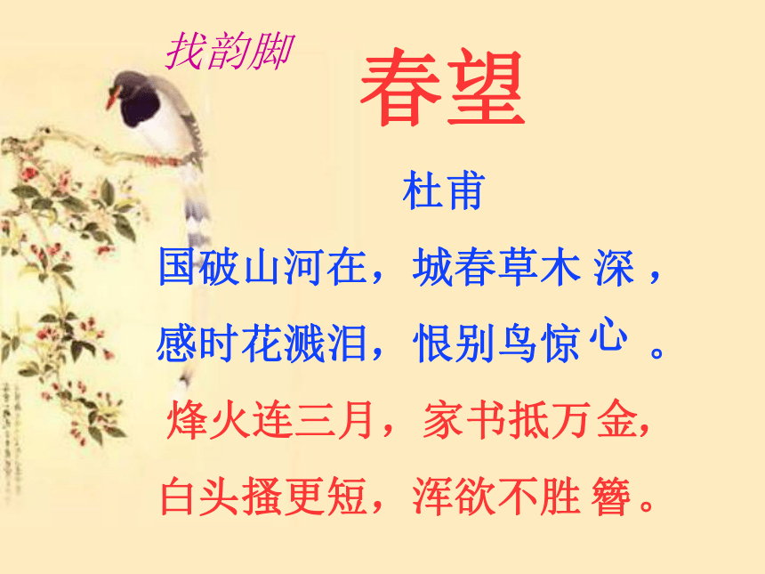 西江月 春望 教学课件