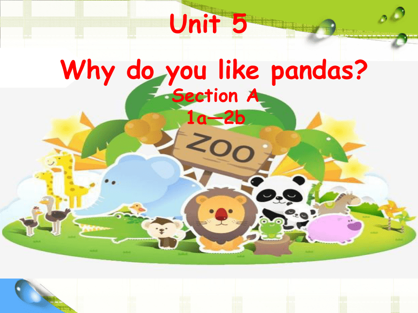 Unit 5 Why do you like pandas . SectionA 1a-2b说课比赛课件 PPT32张）