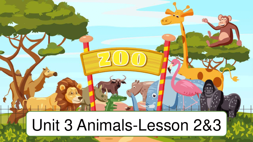 Unit 3 Animals Lesson 2&3 课件+素材(共12张PPT)-21世纪教育网