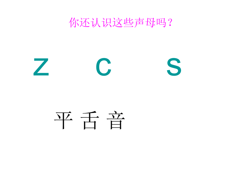 苏教版一年级语文上册拼音8《zh ch sh r》课件