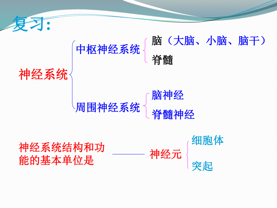 北京版生物七年级下册 8.2 神经调节的基本方式  课件（19张PPT）