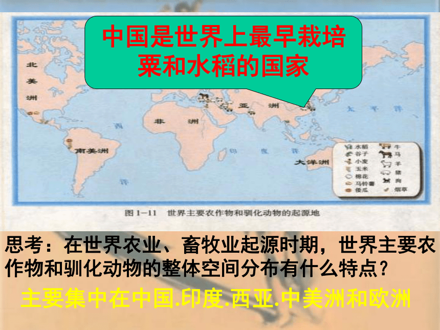 我国境内远古人类遗址（中考考点复习）(广东省深圳市)