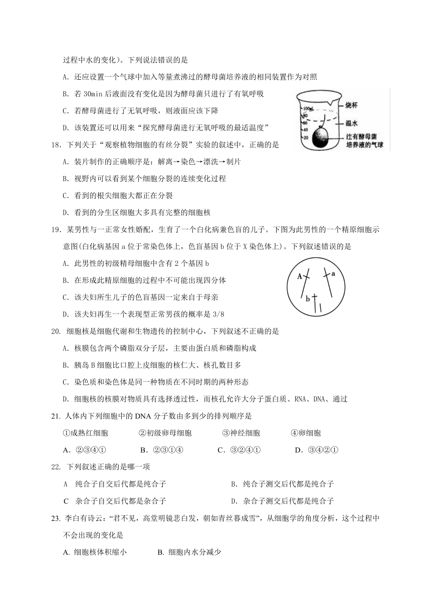 湖南省衡阳市2016-2017学年高一生物下学期第四次月考试题